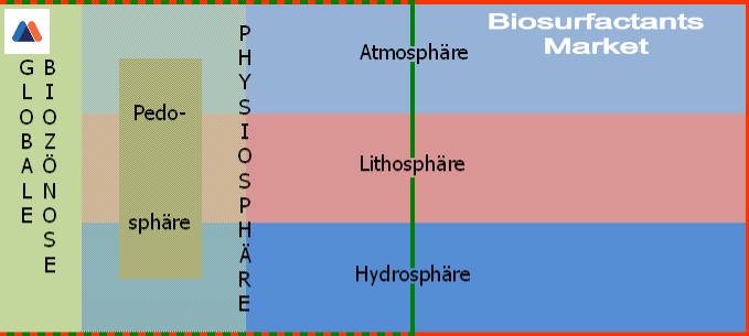 Biosurfactants Market (1)