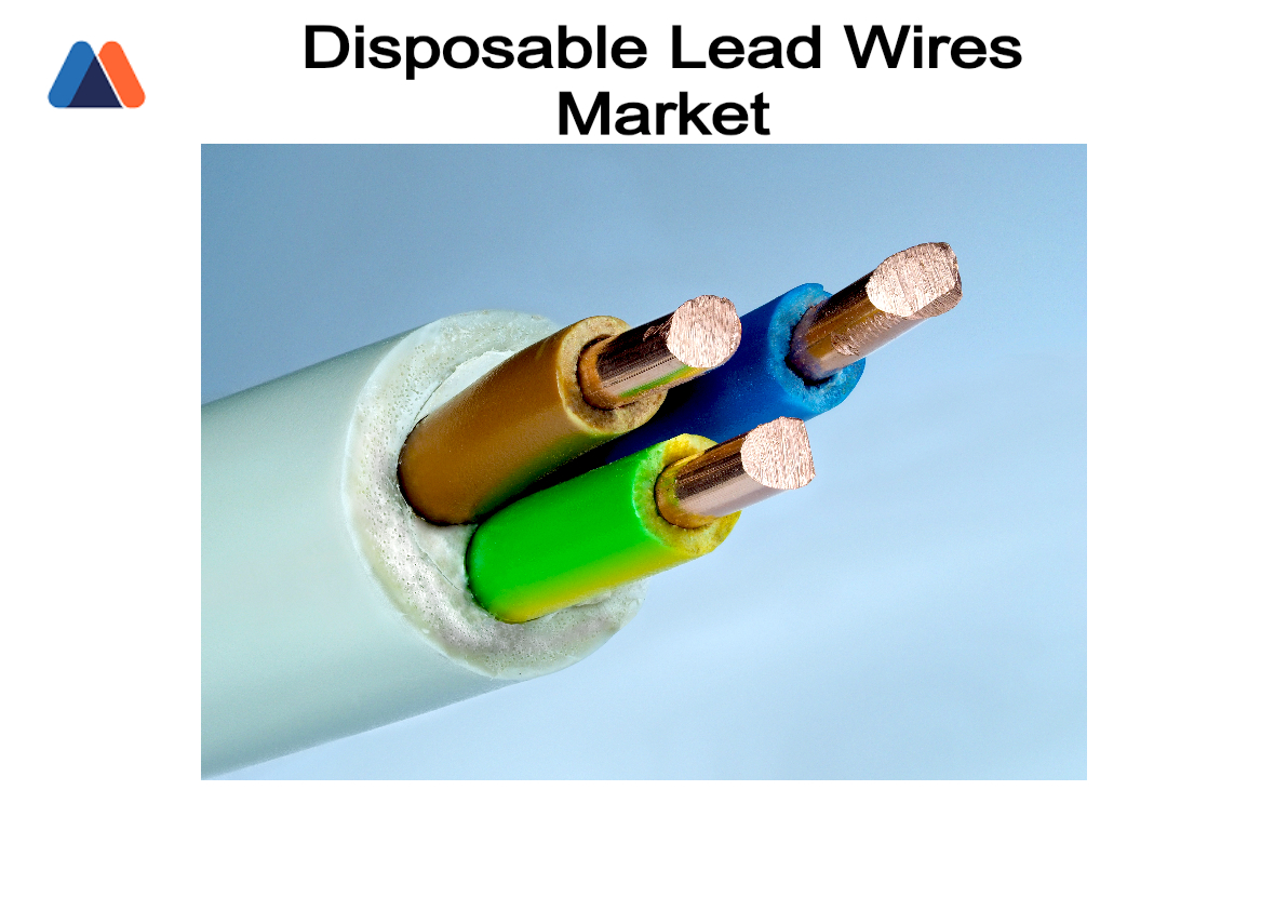 Disposable Lead Wires Market.jpg