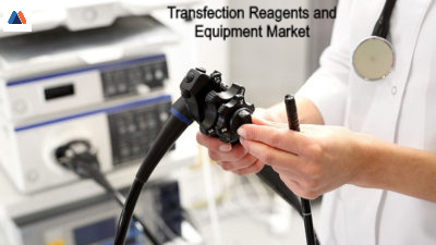 Transfection Reagents and Equipment Market